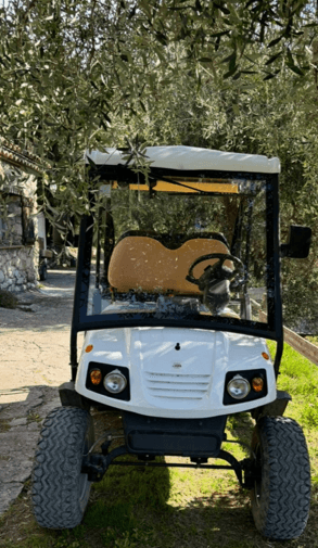 Voiturette du lodge pour vous accompagner à votre lodge. Un parking gratuit est à votre disposition.
